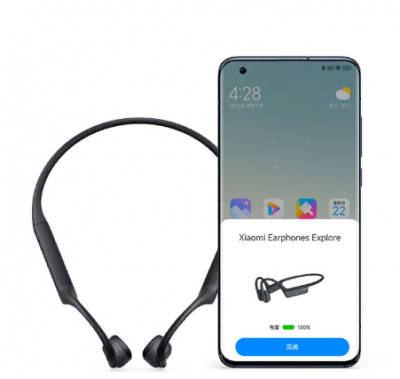Беспроводные наушники Xiaomi Bone Conduction Headphones GCDEJ01LS Grey