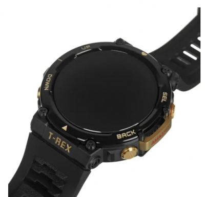 Умные часы Amazfit T-Rex 2 черный/золотой