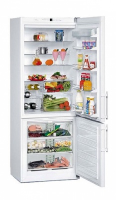 Холодильник Liebherr Cn 5113