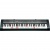 Синтезатор Casio Lk-125 Синтезатор Casio Lk-125