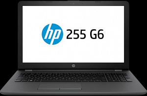 Ноутбук Hp 255 G6 1Wy47ea