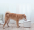 Умная поилка для животных Xiaomi Mijia Smart Pet Water Dispenser Xwwf01mg (White)