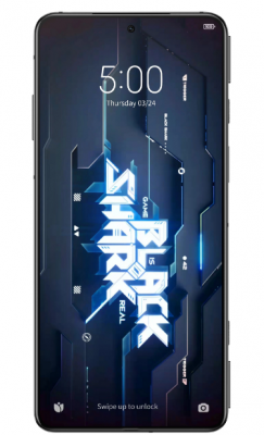 Смартфон Xiaomi Black Shark 5 Pro 16/256 white