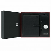 Набор Xiaomi Exclusive Gift Box (наушники, тетрадь, ручка, кабель) RHR7398CN