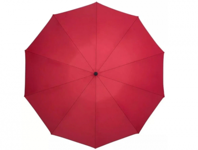 Зонт с фонарем Zuodu Automatic Umbrella Led красный