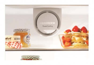 Холодильник Liebherr CNesf 4003 