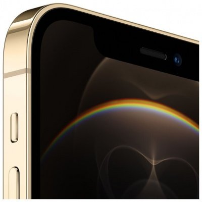 Apple iPhone 12 Pro 256Gb золотой (MGMP3RU/A)