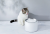 Поилка Xiaomi Petkit Питьевой фонтан для кошек и собак Eversweet 3 (1.35 л) P4102