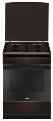 Газовая плита Hansa Fcgb61101