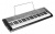 Синтезатор Casio Lk-125 Синтезатор Casio Lk-125
