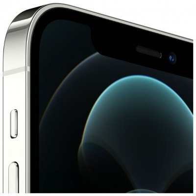 Apple iPhone 12 Pro 256Gb серебристый (MGMQ3RU/A)