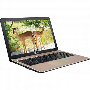 Ноутбук Asus R540YA-XO808T 15.6" E2-6110 4Gb HDD 500Gb Windows 10