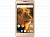 Vertex Impress Lion dual cam (3G) 8 Гб золотистый
