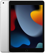 Apple iPad 10.2 (2021) 256Gb Wi-Fi silver