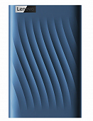 Внешний жесткий диск Lenovo F309 Lite 2Tb Blue