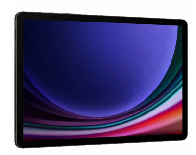 Планшет Samsung Galaxy Tab S9 Wifi X710 12Gb/256GB (Graphite)