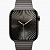 Apple Watch Series 10 42mm + Cellular Slate Titanium Case, Slate Link Bracelet