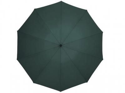 Зонт Zuodu Full Automatic Umbrella Led зеленый