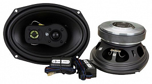 Колонки автомобильные Dls R1073