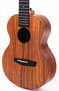 Укулеле Enya Eut-X1 Tenor