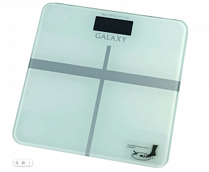 Весы Galaxy Gl 4808