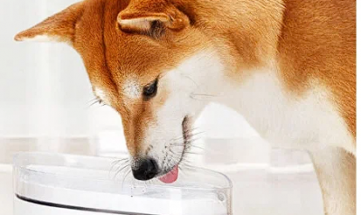 Автопоилка для животных Xiaomi Kitten & Puppy Water Dispenser (Mg-Wf001eu)