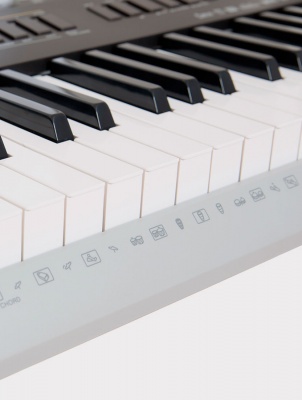 Синтезатор Casio Wk-240