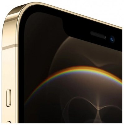 Apple iPhone 12 Pro Max 128Gb золотой