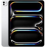 Apple iPad Pro 13 M4 256Gb Wi-Fi Silver with Standart glass