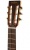 Гитара Sigma Cm-6 Гитара Sigma Cm-6