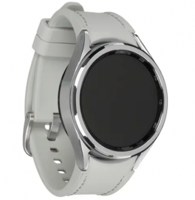 Часы Samsung Galaxy Watch 6 Classik R950 43mm Silver